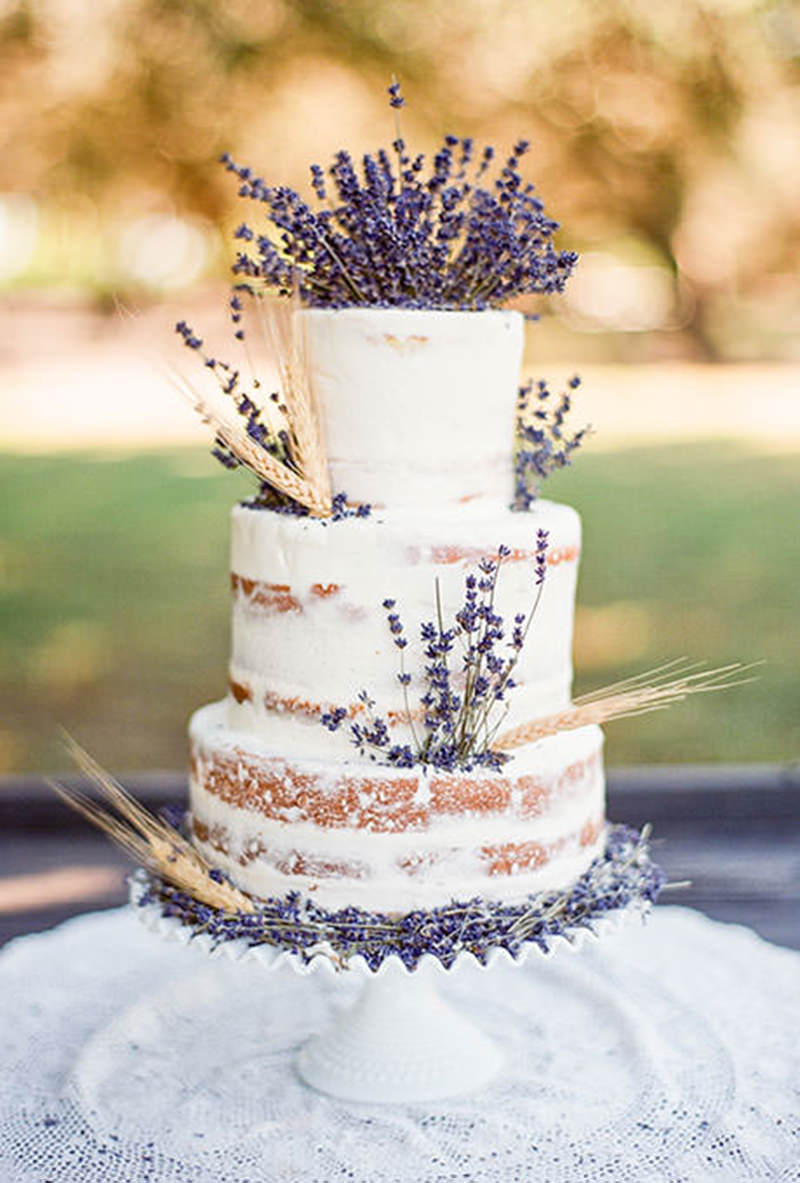 1578 naked cake