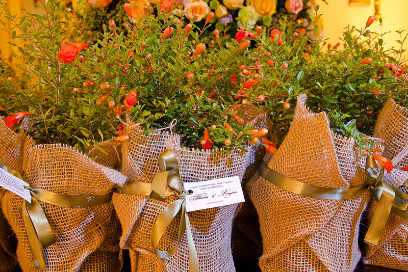 lembrancinha-cha-de-cozinha-plantinhas