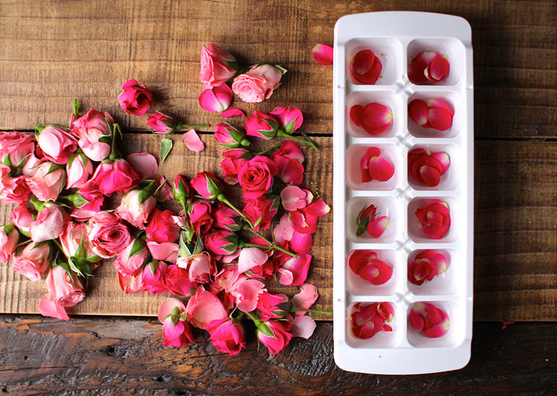 flower-ice-cubes-gelo-decorado-com-flores-para-drinks-noivado-cha-bar-casamento