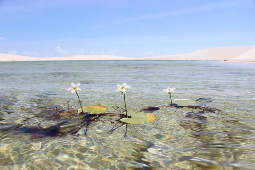 destinos-brasileiros-lua-de-mel-lencois-maranhenses-2