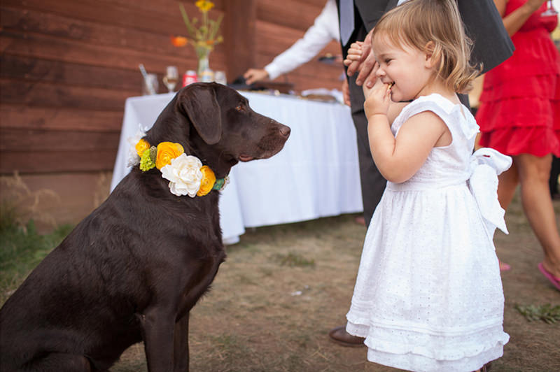 cao-e-crianca-no-casamento