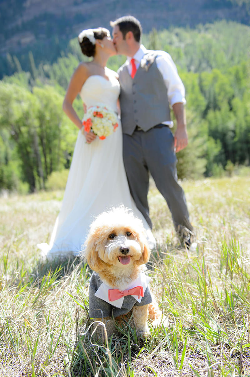 ensaio-pos-wedding-com-o-cachorro-de-terno