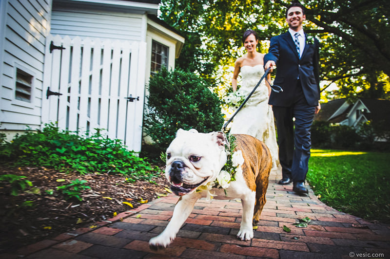 noivo-passeando-com-o-cachorro-no-casamento