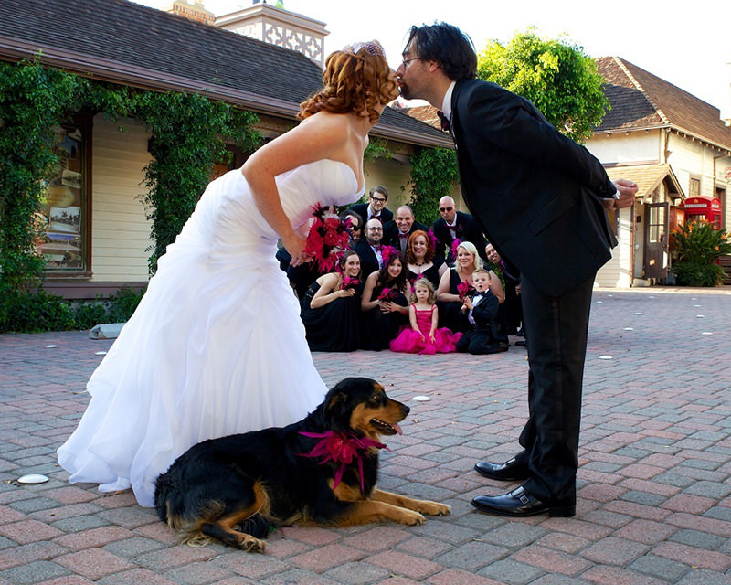 noivos-padrinhos-e-cachorro-no-ensaio-fotografico-pos-casamento