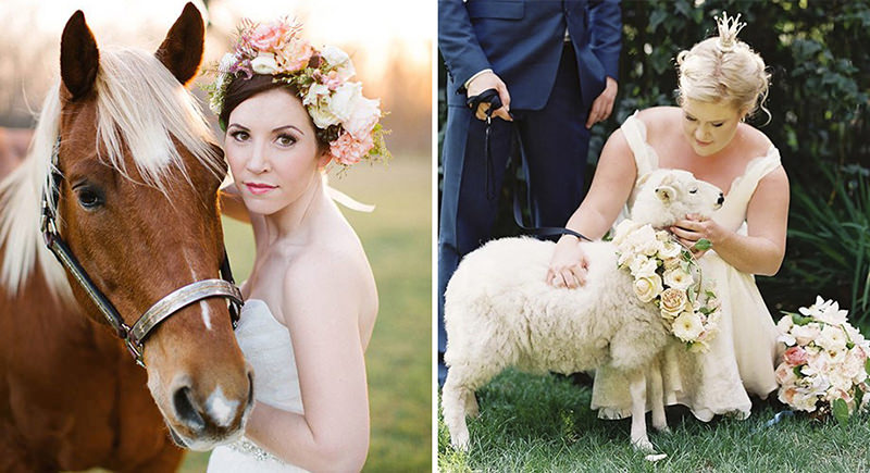 pets-no-casamento-noiva-com-cavalo-e-carneiro