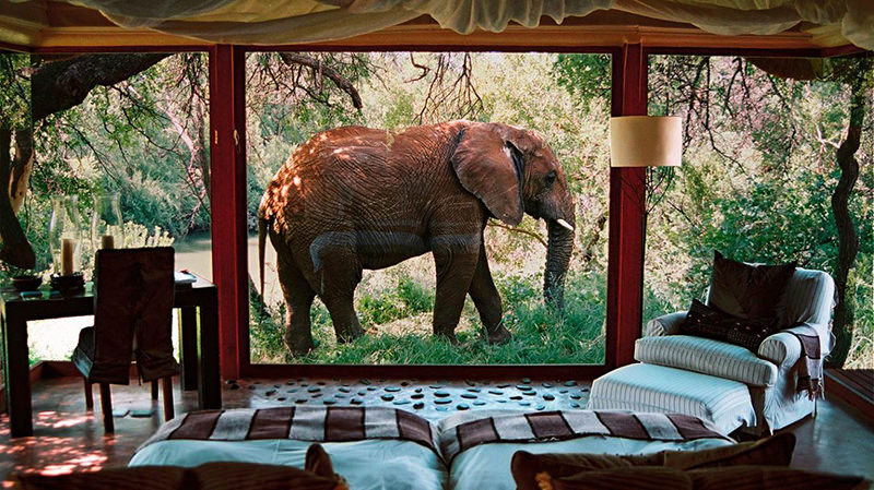 01-hotel-sanctuary-makanyane-safari-na-africa-do-sul