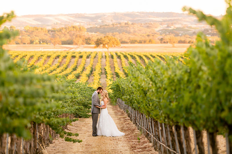 casamento-romantico-em-meio-as-parreiras-de-uvas