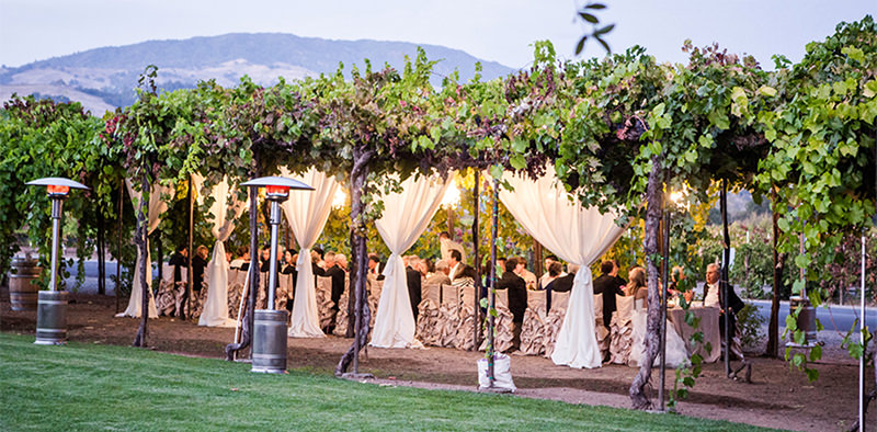 festa-de-casamento-na-vinicula