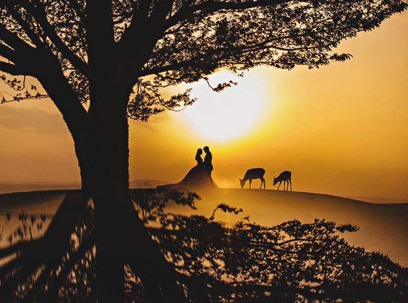 fotografia-de-casamento-ao-por-do-sol