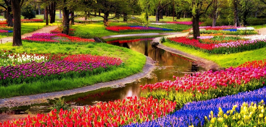 Keukenhof-Amsterda-Jardim-Holanda-pedido-de-casamento-em-jardins-capa