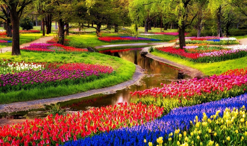 Maior-jardim-do-mundo-Keukenhof-Amsterda-Jardim-Holanda-pedido-de-casamento