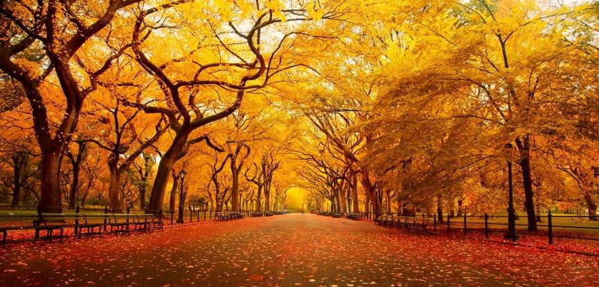 central-park-nova-york-pedido-de-casamento-no-outono-capa