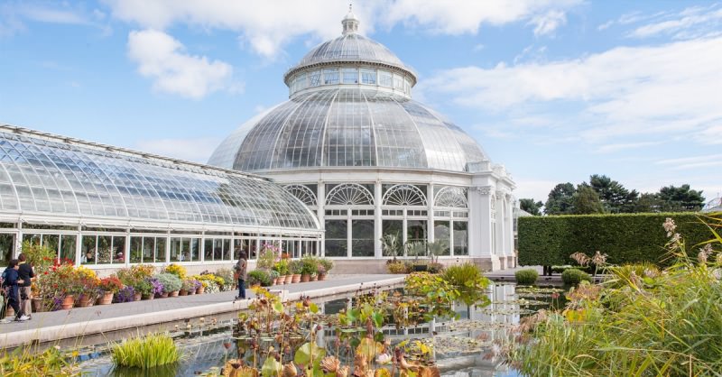 jardim-botanico-pedido_de_casamento_nova_york