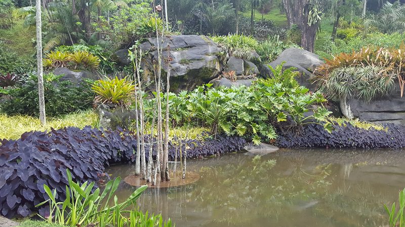 sitio-burle-marx-rio-de-janeiro-passeio-romantico-lua-de-mel