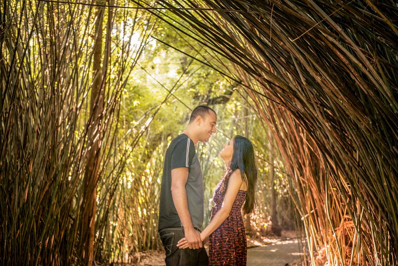 pedido-de-casamento-jardim-botanico-sao-paulo