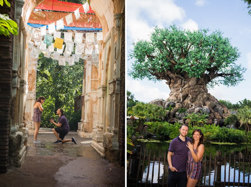 disney-animal-kingdom-pedido-de-casamento