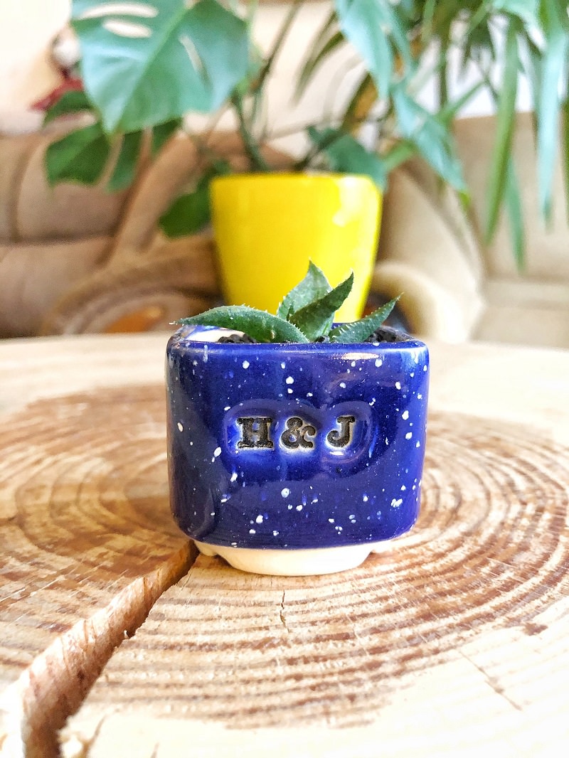 5-plantinha-com-vaso-de-ceramica-personalizado-para-casamento