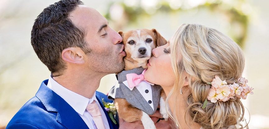 cachorro-em-casamento-treino-e-dicas-imperdiveis
